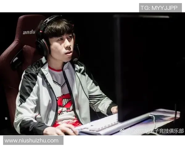 深入分析JDG选手个人能力在DOTA2电竞实时数据中的表现与影响实时新闻