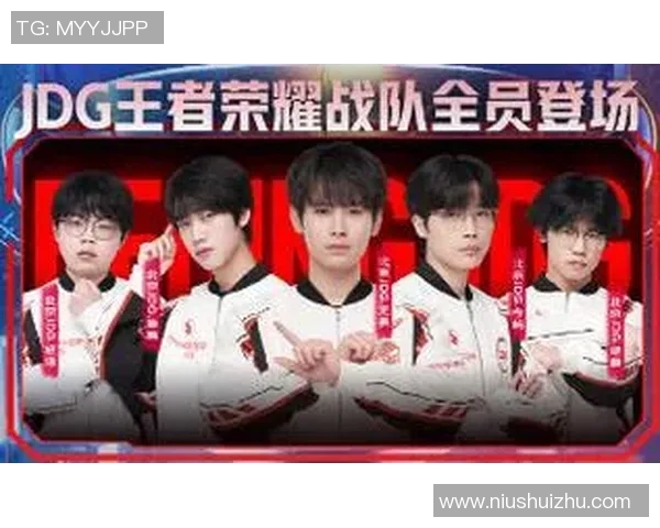 王者荣耀中的传奇之路JDG战队的成长与辉煌历程揭秘实时新闻